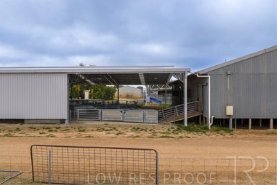 September 2025 / Rosewrothy_250919DJI_20250919075641_0279_D