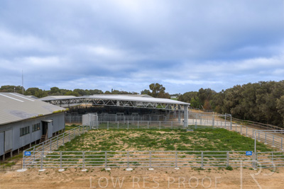 September 2025 / Rosewrothy_250919DJI_20250919075730_0284_D