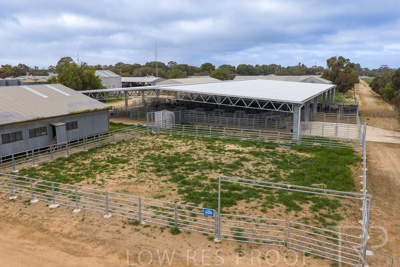 September 2025 / Rosewrothy_250919DJI_20250919075748_0289_D