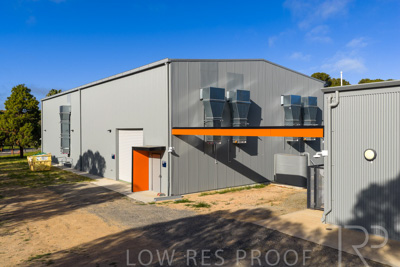 September 2025 / Rosewrothy_250919DJI_20250919082217_0419_D