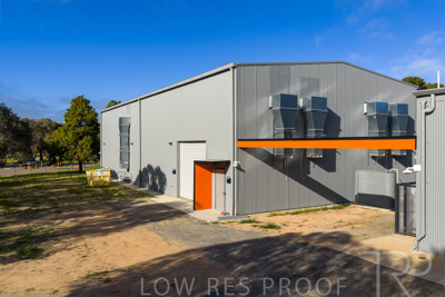 September 2025 / Rosewrothy_250919DJI_20250919082234_0424_D