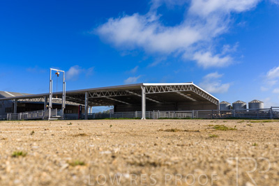 September 2025 / Rosewrothy_250919DJI_20250919084858_0594_D