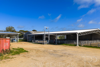 September 2025 / Rosewrothy_250919DJI_20250919084929_0604_D