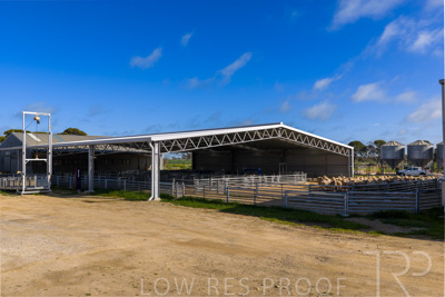 September 2025 / Rosewrothy_250919DJI_20250919084951_0609_D