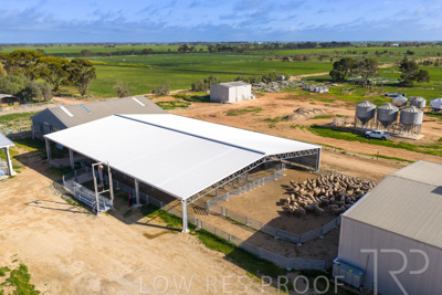 September 2025 / Rosewrothy_250919DJI_20250919085011_0614_D