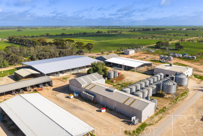 September 2025 / Rosewrothy_250919DJI_20250919085031_0619_D