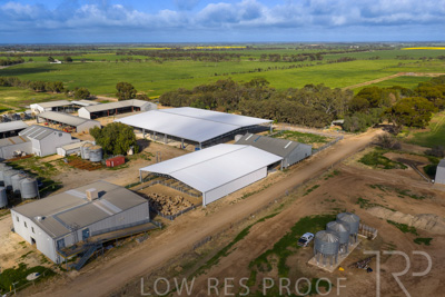 September 2025 / Rosewrothy_250919DJI_20250919085132_0629_D