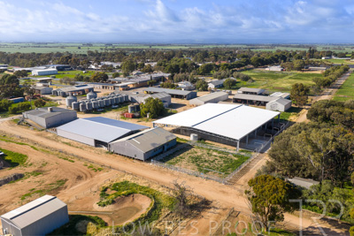 September 2025 / Rosewrothy_250919DJI_20250919085221_0639_D