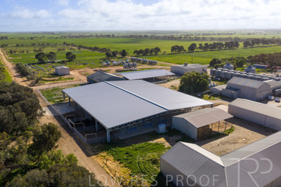 September 2025 / Rosewrothy_250919DJI_20250919085255_0649_D