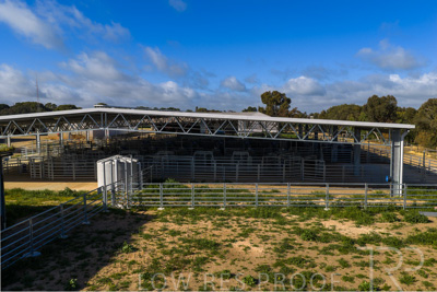 September 2025 / Rosewrothy_250919DJI_20250919085432_0669_D