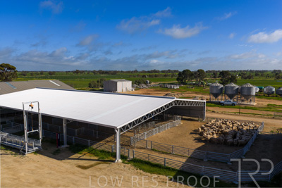 September 2025 / Rosewrothy_250919DJI_20250919085454_0674_D