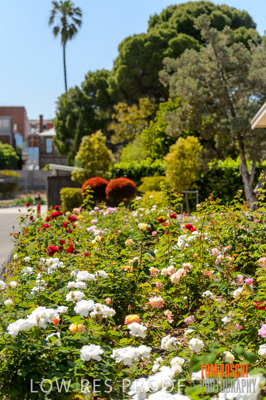 October 2019 / GH_191022-2788