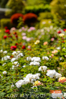 October 2019 / GH_191022-2790