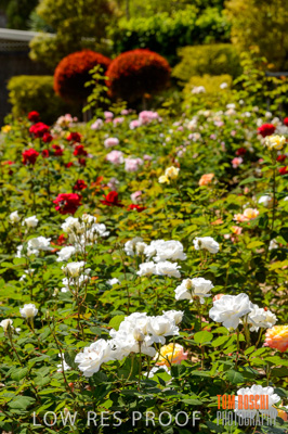 October 2019 / GH_191022-2792