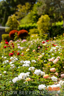 October 2019 / GH_191022-2795