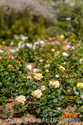 October 2019 / GH_191022-2798