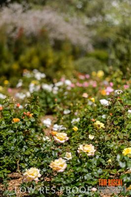 October 2019 / GH_191022-2799