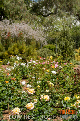 October 2019 / GH_191022-2801