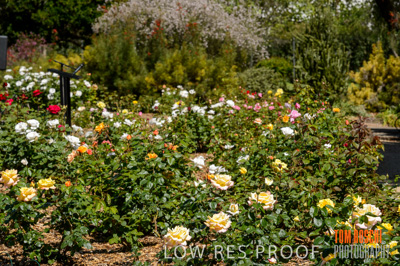 October 2019 / GH_191022-2803