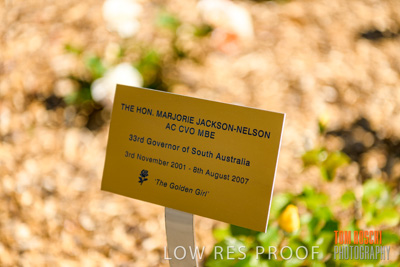 October 2019 / GH_191022-5277