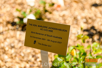 October 2019 / GH_191022-5278