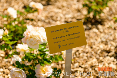 October 2019 / GH_191022-5281