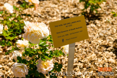 October 2019 / GH_191022-5283