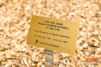 October 2019 / GH_191022-5284