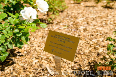 October 2019 / GH_191022-5285