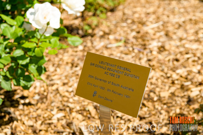 October 2019 / GH_191022-5287