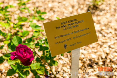 October 2019 / GH_191022-5290