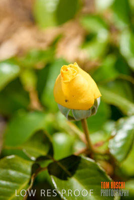 October 2019 / GH_191022-5292