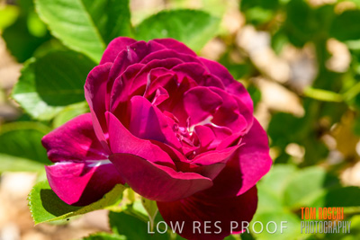 October 2019 / GH_191022-5293