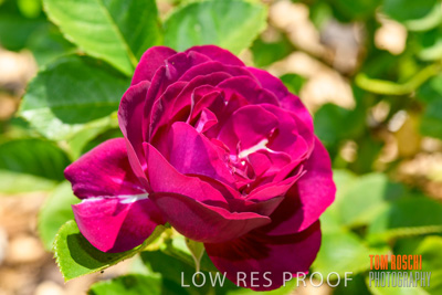 October 2019 / GH_191022-5294