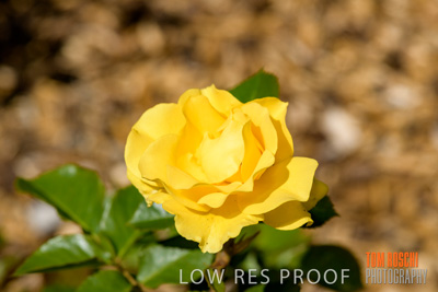 October 2019 / GH_191022-5298