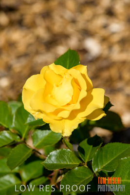 October 2019 / GH_191022-5300