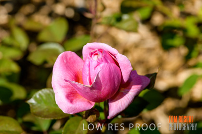 October 2019 / GH_191022-5302