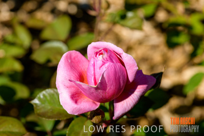 October 2019 / GH_191022-5303