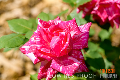 October 2019 / GH_191022-5305