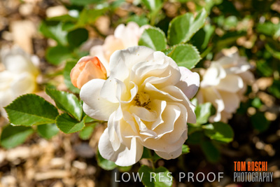 October 2019 / GH_191022-5308