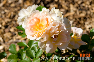 October 2019 / GH_191022-5310