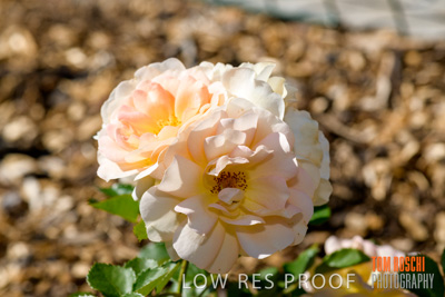 October 2019 / GH_191022-5312