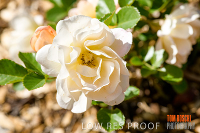 October 2019 / GH_191022-5314