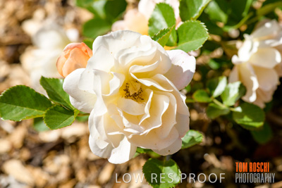 October 2019 / GH_191022-5316