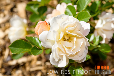 October 2019 / GH_191022-5318