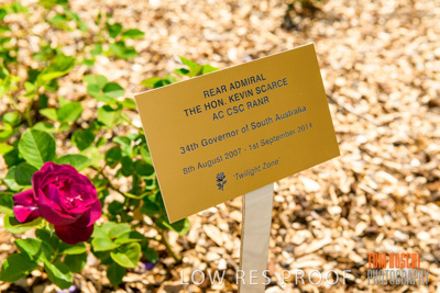 October 2019 / GH_191022-5320