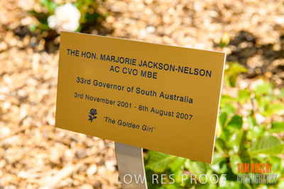 October 2019 / GH_191022-5323