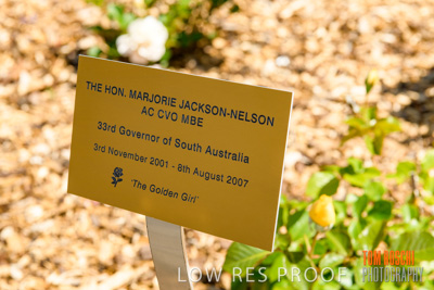 October 2019 / GH_191022-5325