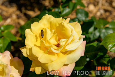 October 2019 / GH_191022-5326