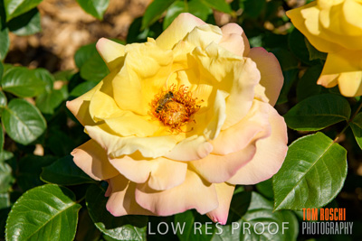 October 2019 / GH_191022-5329